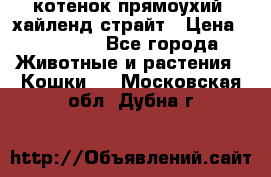 котенок прямоухий  хайленд страйт › Цена ­ 10 000 - Все города Животные и растения » Кошки   . Московская обл.,Дубна г.